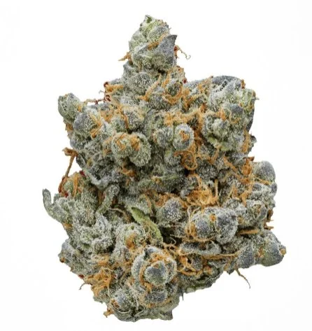 Evercalm Overnight Recovery