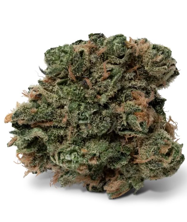 Gloss Boss Lip Gloss