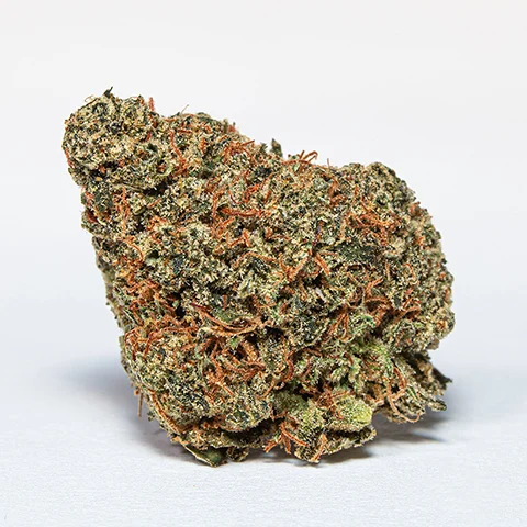 Ferulic Retinol Eye Cream