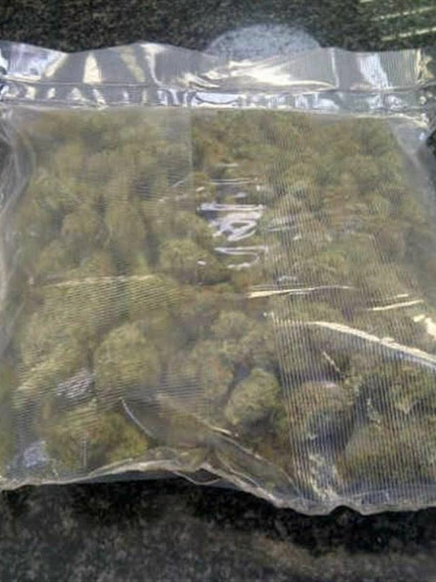 Brazilian Kiss Cupuacu Lip