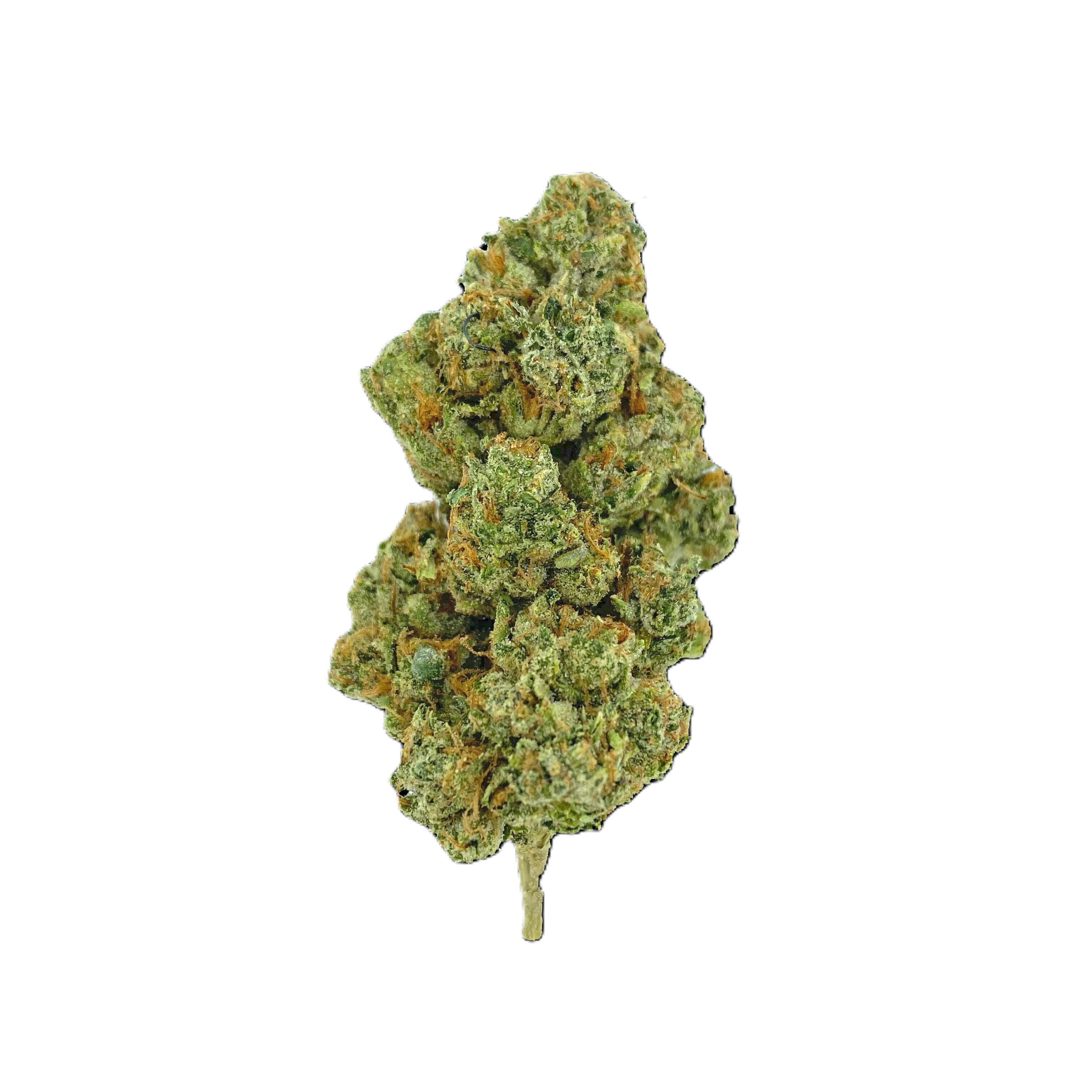 Gloss Boss Lip Gloss