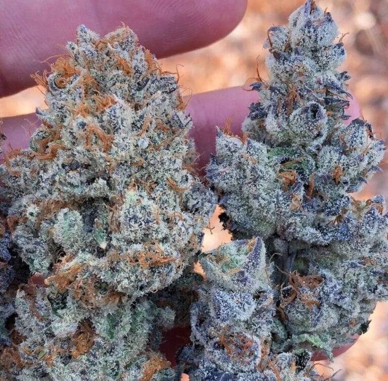 Ferulic Retinol Eye Cream