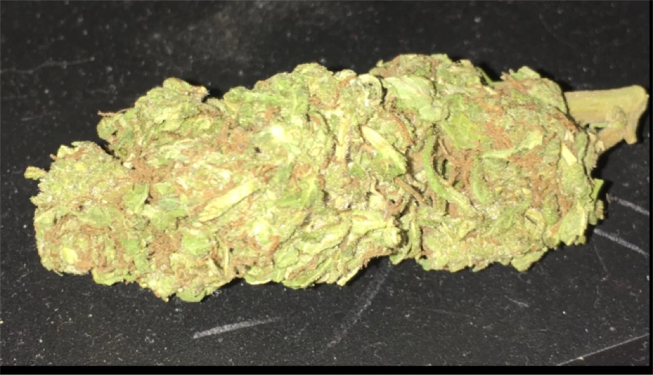 Ferulic Retinol Eye Cream