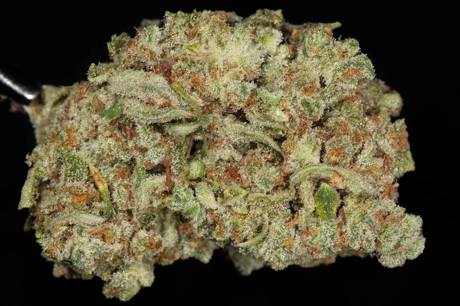 Gloss Boss Lip Gloss